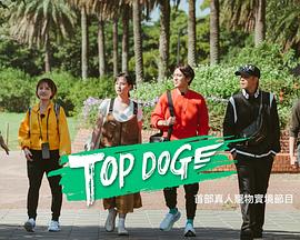 好色先生TV《TOP DOG》免费在线观看