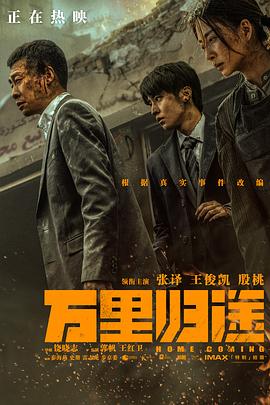 好色先生TV《万里归途》免费在线观看