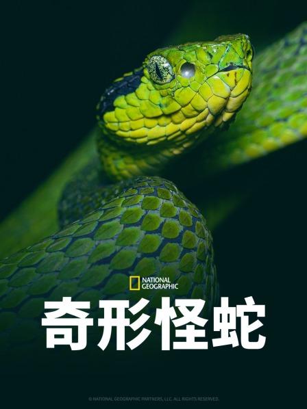 妻友社区《奇形怪蛇》免费在线观看